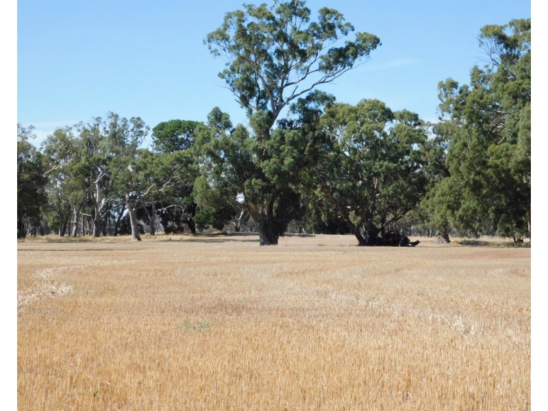 Lot 30 –  433 Golf Course Road, Bordertown SA 5268