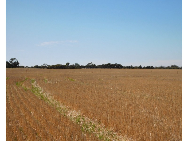 Lot 3 Golf Course Road, Bordertown SA 5268