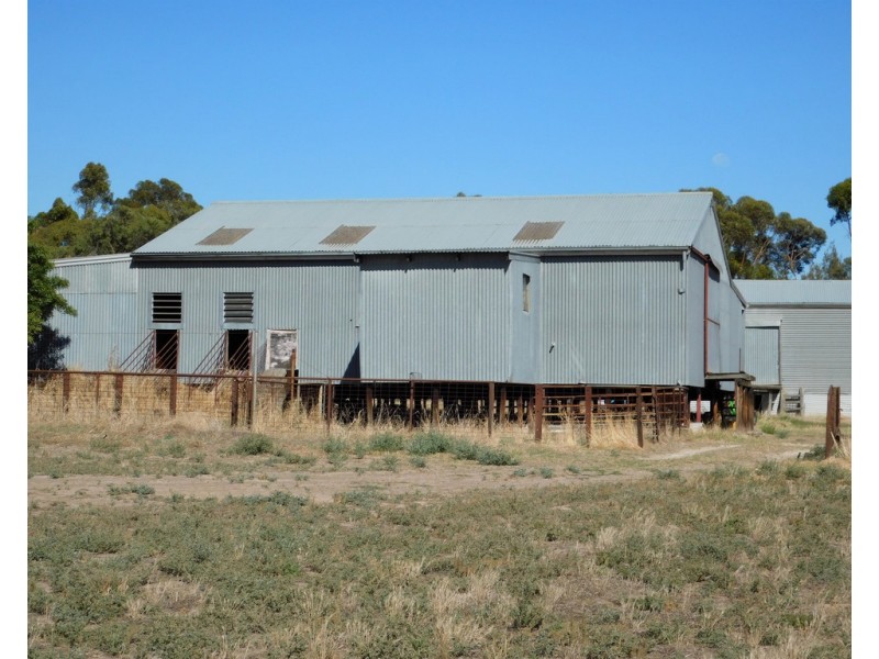 Lot 3 Golf Course Road, Bordertown SA 5268