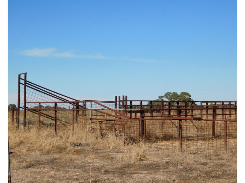 Lot 3 Golf Course Road, Bordertown SA 5268