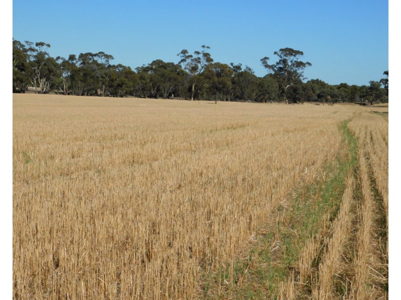 Lot 3 Golf Course Road, Bordertown SA 5268