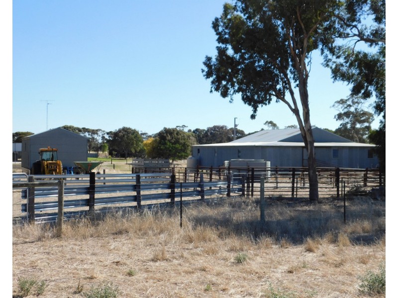 Lot 3 Golf Course Road, Bordertown SA 5268