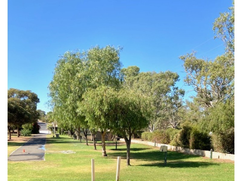Swan Reach SA 5354