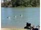 Swan Reach SA 5354