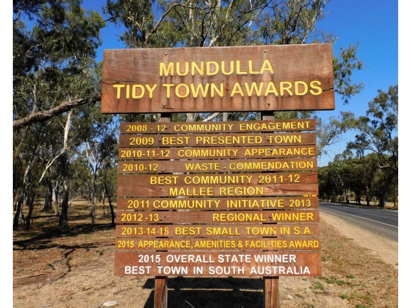 Sec 169 Hillier Road, Mundulla SA 5270