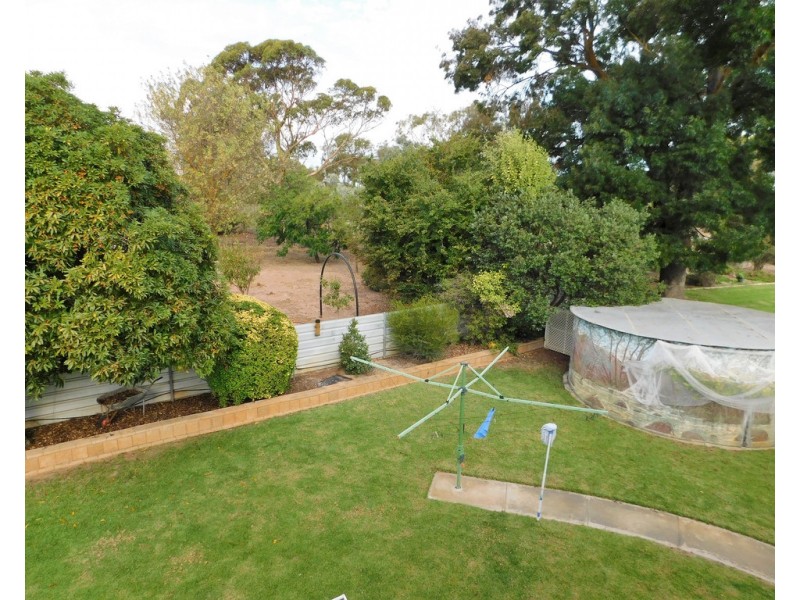 14 Naracoorte Road, Bordertown SA 5268