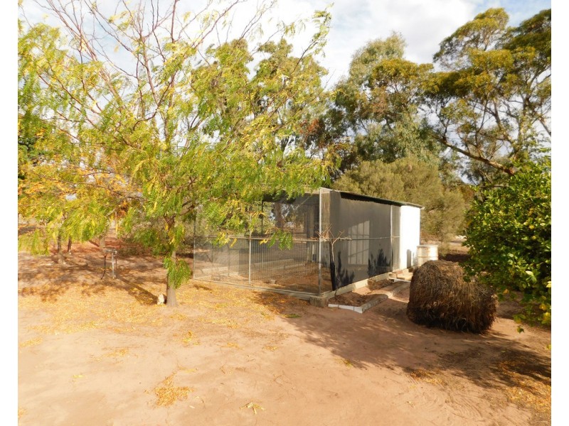 14 Naracoorte Road, Bordertown SA 5268