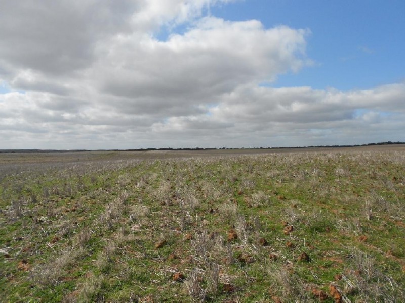 Sec. 118 Kulkami – Mulpata Rd, Lameroo SA 5302