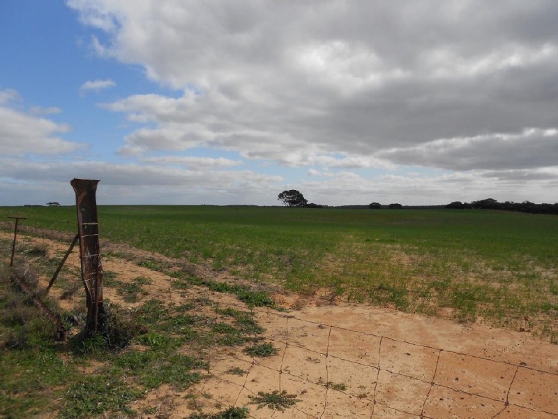 Sec. 118 Kulkami – Mulpata Rd, Lameroo SA 5302