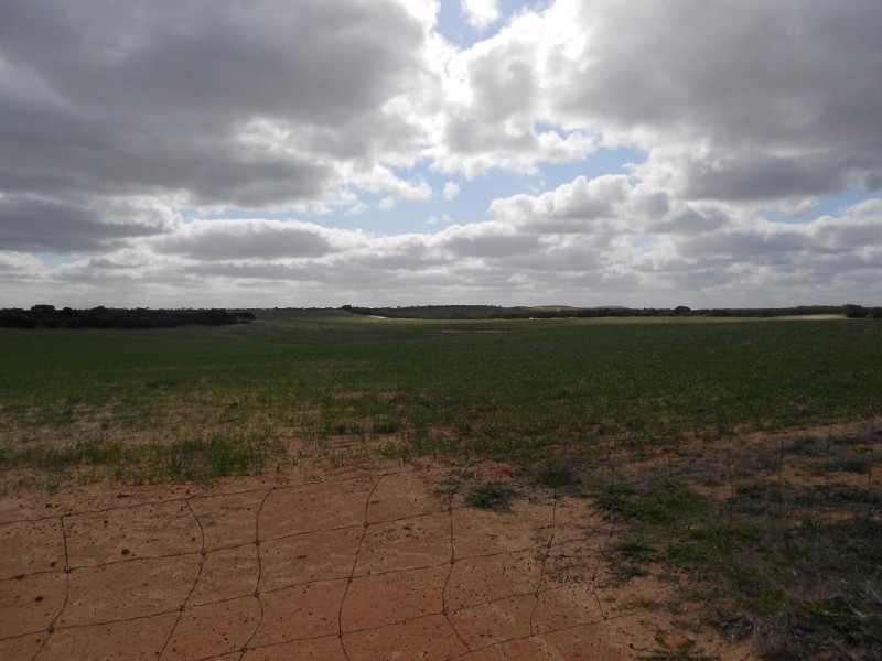 Sec. 118 Kulkami – Mulpata Rd, Lameroo SA 5302