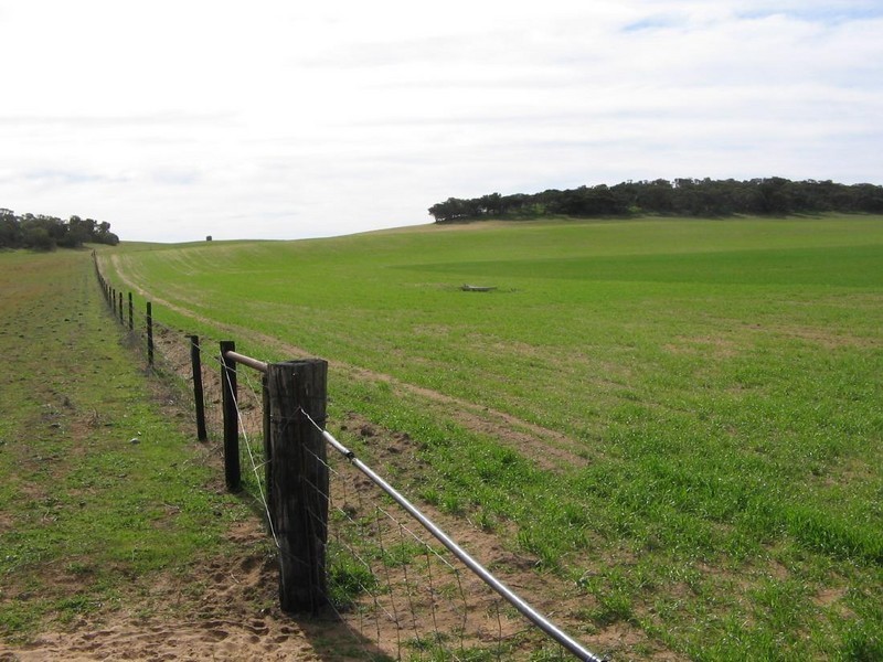 3 Blocks Parilla North, Parilla SA 5303