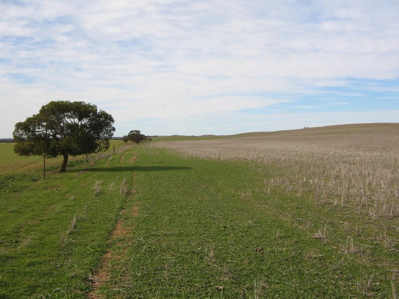 3 Blocks Parilla North, Parilla SA 5303