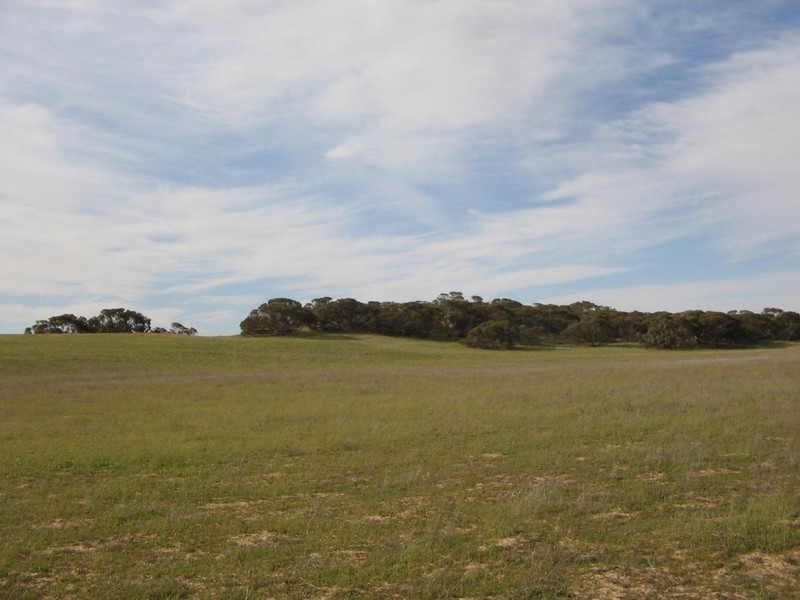 Lot 2 Wirha Road, Lameroo SA 5302