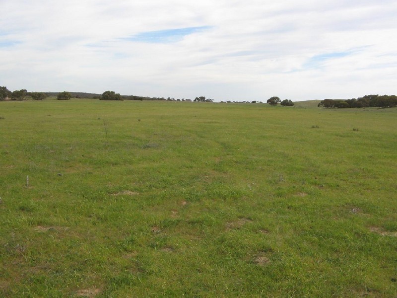 Lot 3  Wirha Road, Lameroo SA 5302