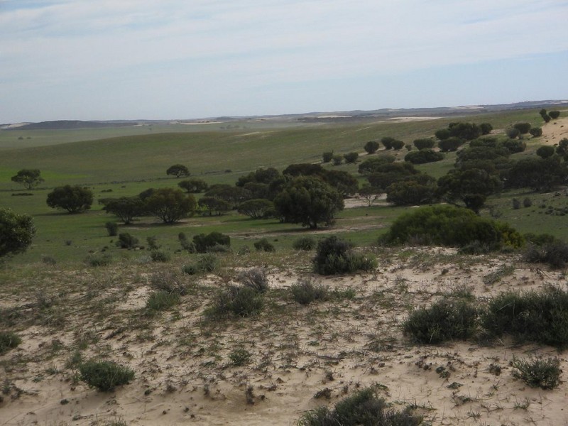 Lot 3  Wirha Road, Lameroo SA 5302