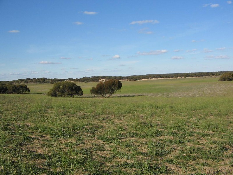 Lot 3  Wirha Road, Lameroo SA 5302