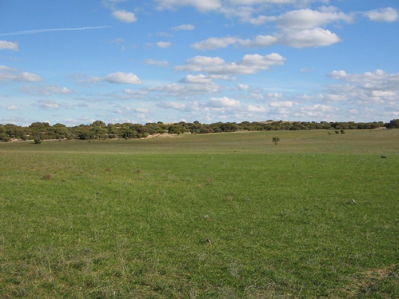 Lot 4 Wirha Road, Lameroo SA 5302