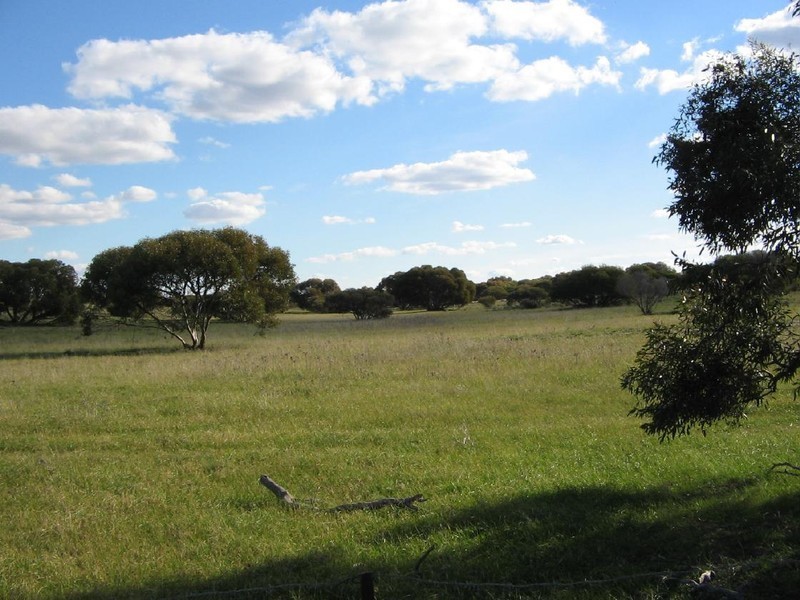 Lot 4 Wirha Road, Lameroo SA 5302