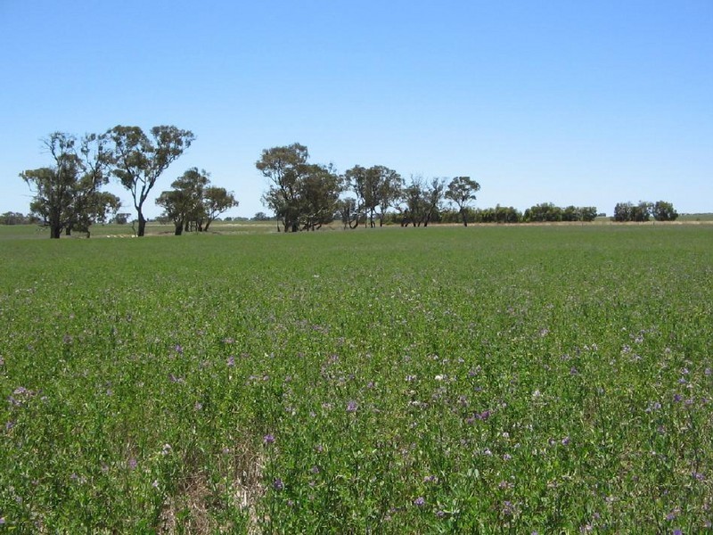 Sec. 75 Senior Road, Bordertown SA 5268