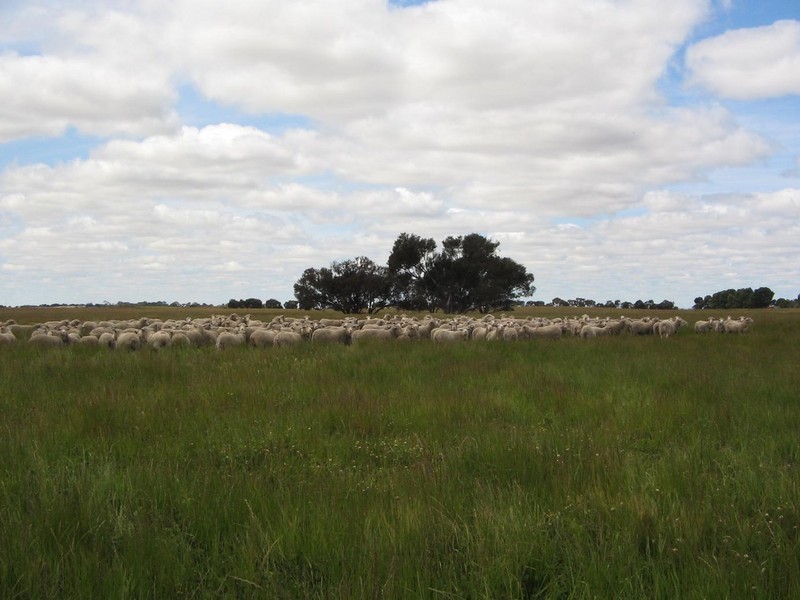 Sec. 75 Senior Road, Bordertown SA 5268