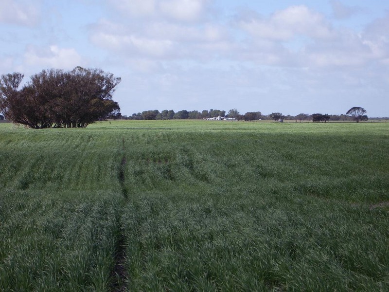 Sec. 75 Senior Road, Bordertown SA 5268