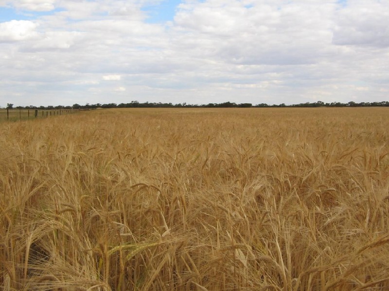 Sec. 75 Senior Road, Bordertown SA 5268