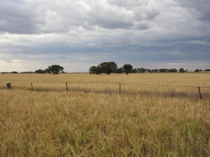 Sec. 75 Senior Road, Bordertown SA 5268