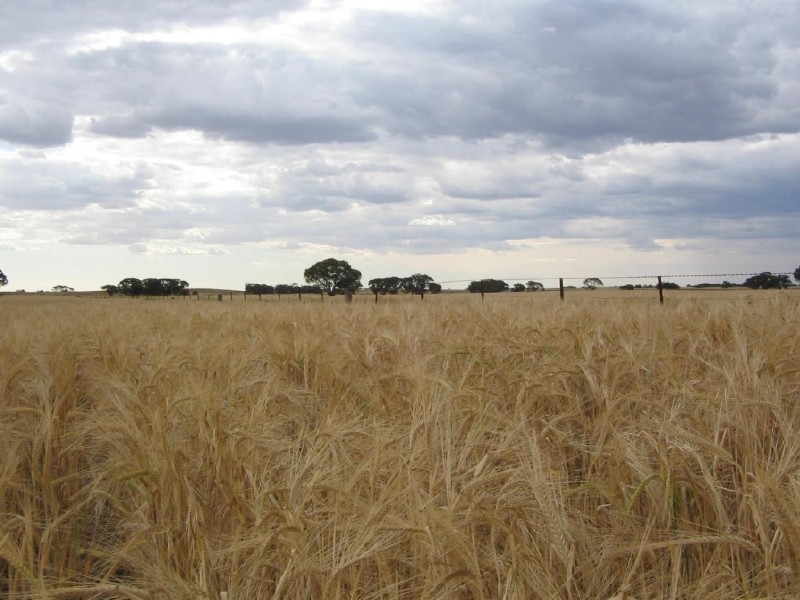 Sec. 75 Senior Road, Bordertown SA 5268