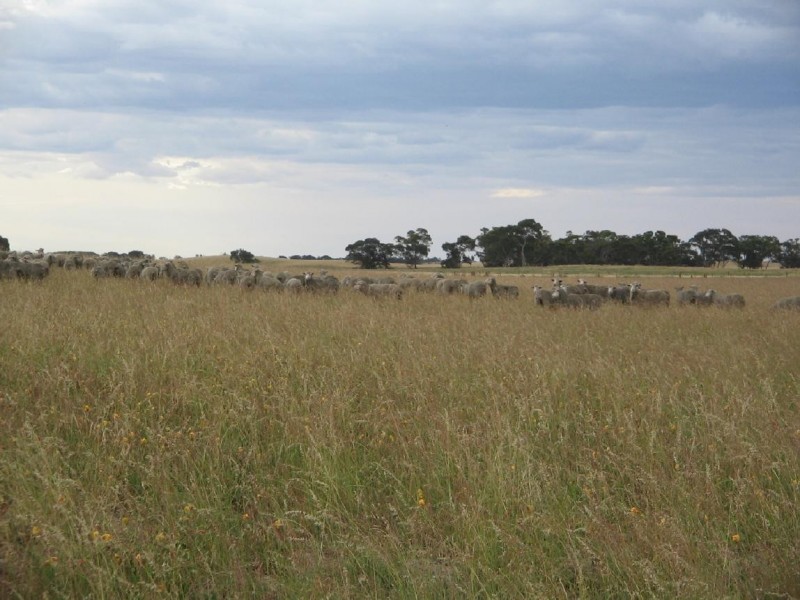 Sec. 75 Senior Road, Bordertown SA 5268