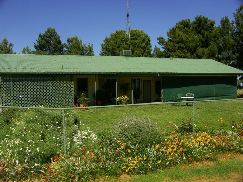 Lot 1A Alawoona Road, Lameroo SA 5302