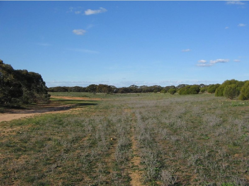 Pcs. 32-34 Billiatt Road, Lameroo SA 5302