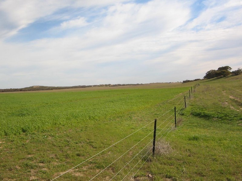 Pcs. 32-34 Billiatt Road, Lameroo SA 5302