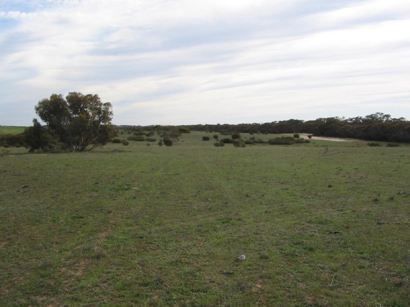 Pcs. 32-34 Billiatt Road, Lameroo SA 5302
