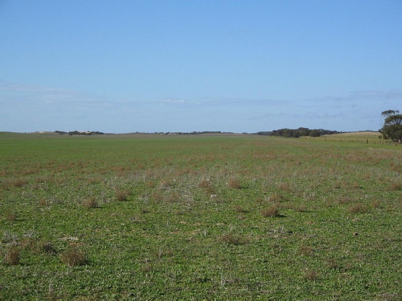 Lot 1C Wirha Road, Lameroo SA 5302