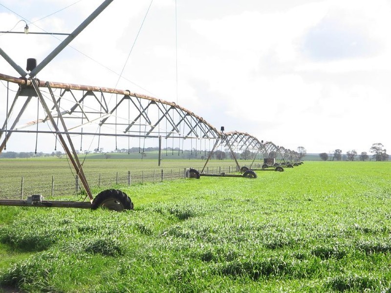 Glen Park Buckingham Road, Kongal SA 5270