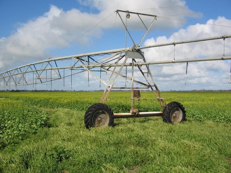 Glen Park Buckingham Road, Kongal SA 5270