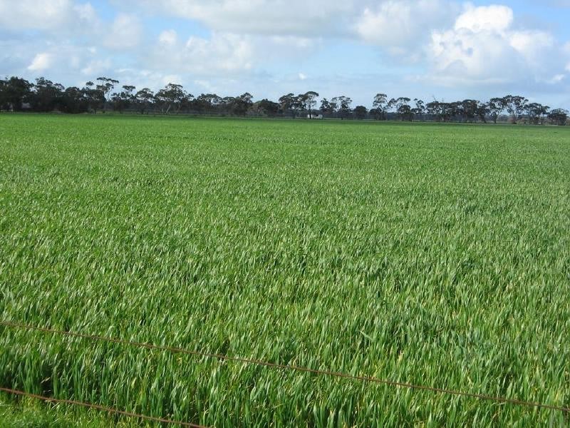 Glen Park Buckingham Road, Kongal SA 5270