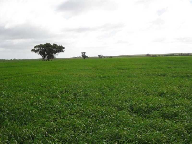 Lot 2 Garra South Road, Lameroo SA 5302