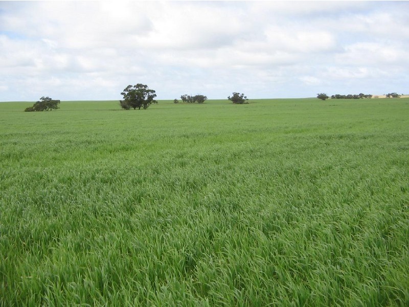 Lot 2 Garra South Road, Lameroo SA 5302