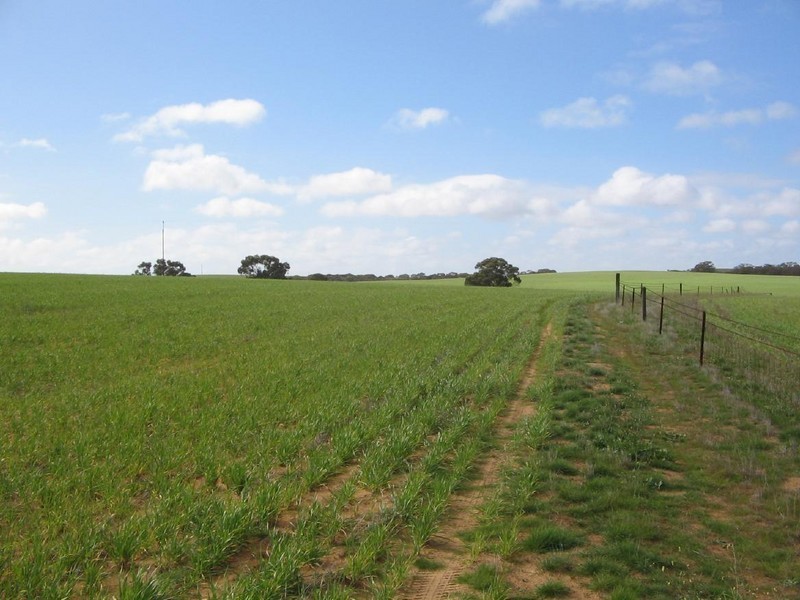 Lot 2 Garra South Road, Lameroo SA 5302