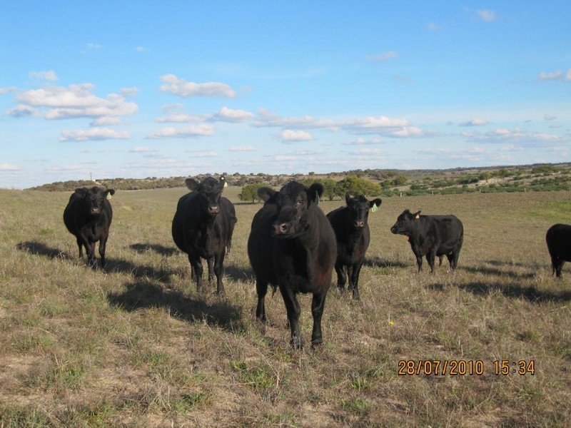 Section 5 Lameroo South Road, Lameroo SA 5302