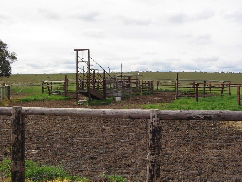 Section 5 Lameroo South Road, Lameroo SA 5302