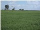 Section 83 Spur Road “Wirrawood”, Wirrega SA 5267