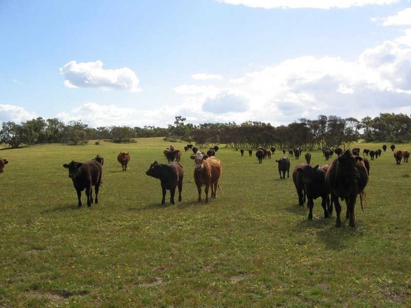 “Wooloogla” Serviceton North Road, Telopea Downs VIC 3420