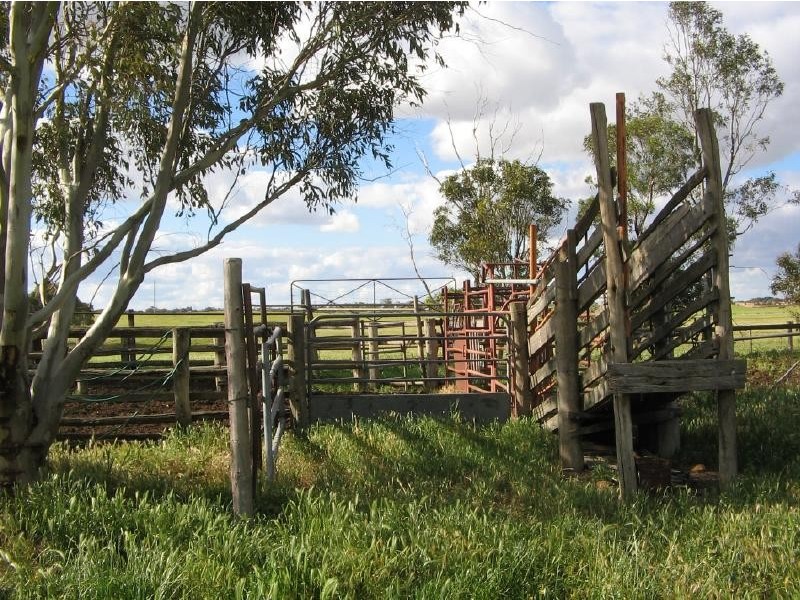 “Wooloogla” Serviceton North Road, Telopea Downs VIC 3420