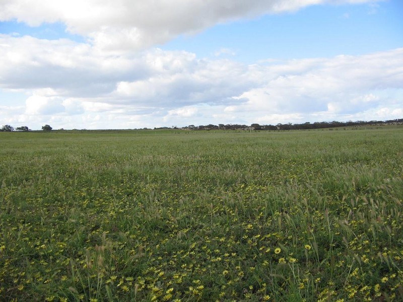 “Wooloogla” Serviceton North Road, Telopea Downs VIC 3420