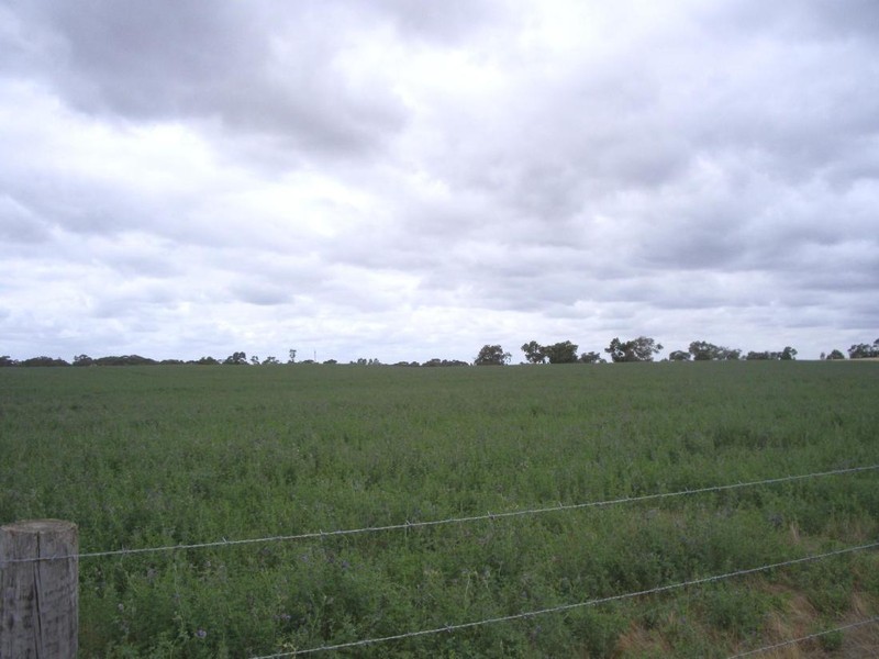 Lot 10 Dukes Highway, Coombe SA 5267