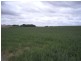 Lot 10 Dukes Highway, Coombe SA 5267