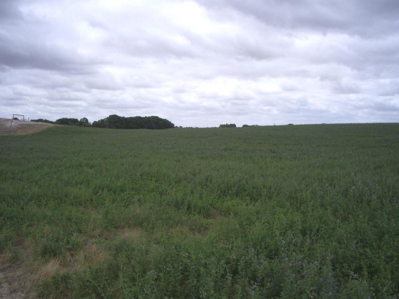 Lot 10 Dukes Highway, Coombe SA 5267