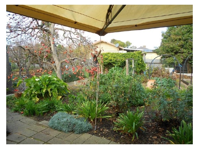 188 Victoria Pde, Bordertown SA 5268